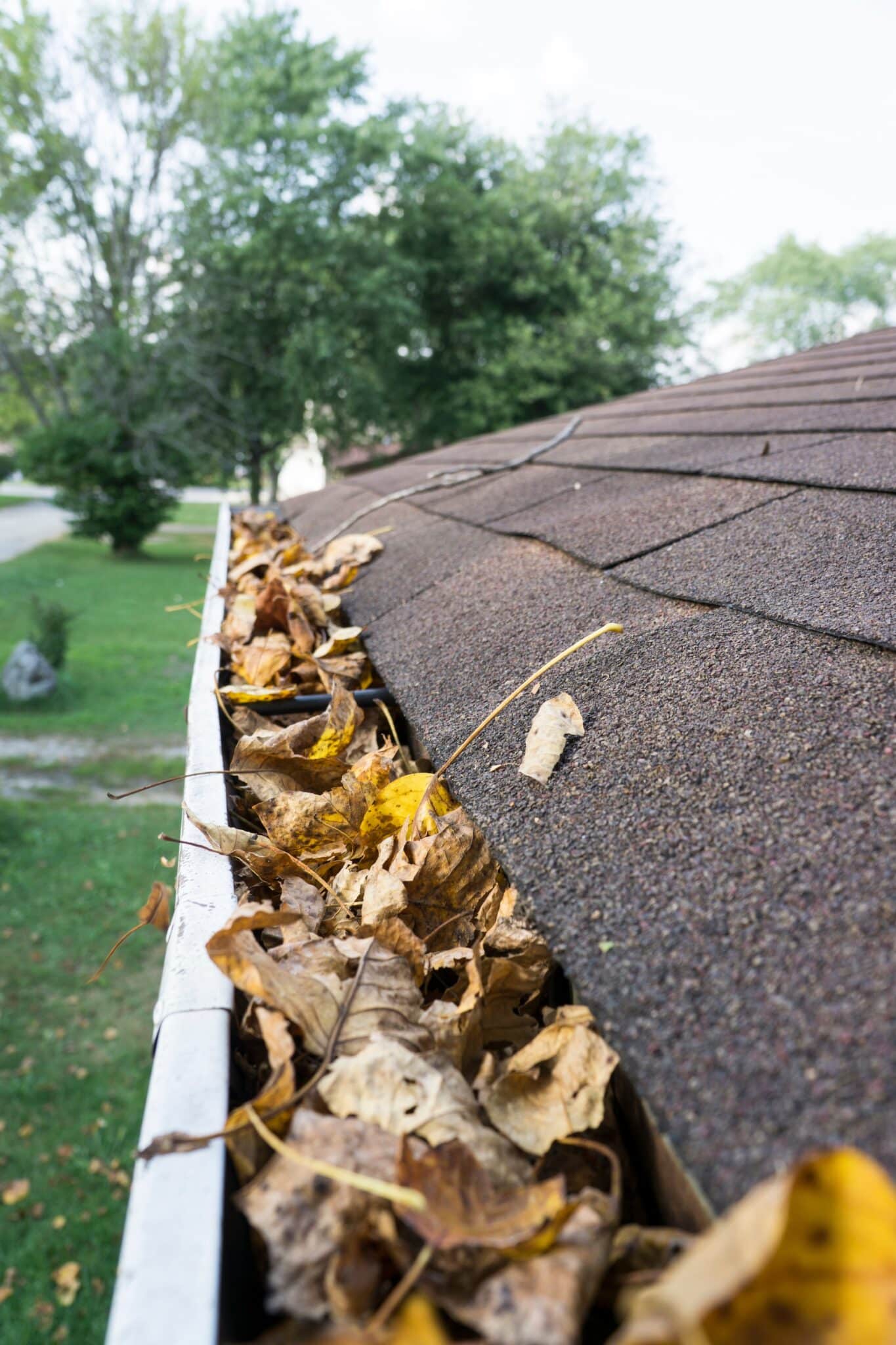 Gutter Maintenance