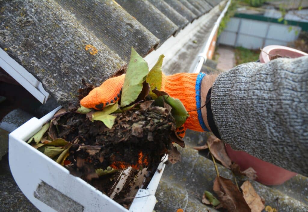 best time for gutter cleaning