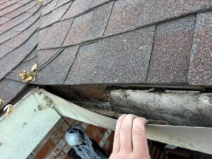 When Do I Replace My Gutters